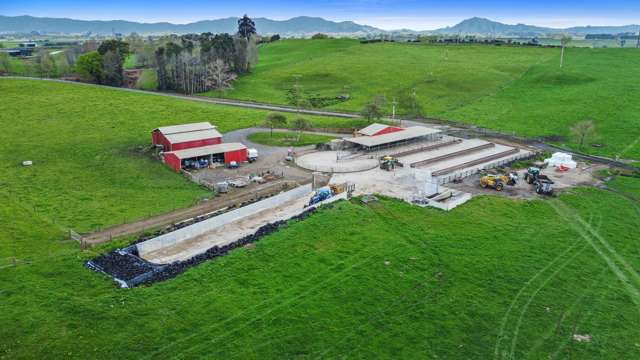 520 Lake Road Horsham Downs_4