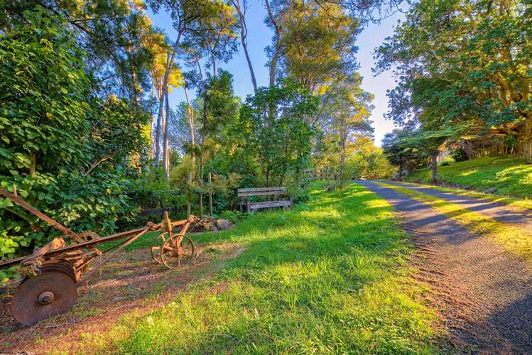 34 Macwhinney Drive Drury_6