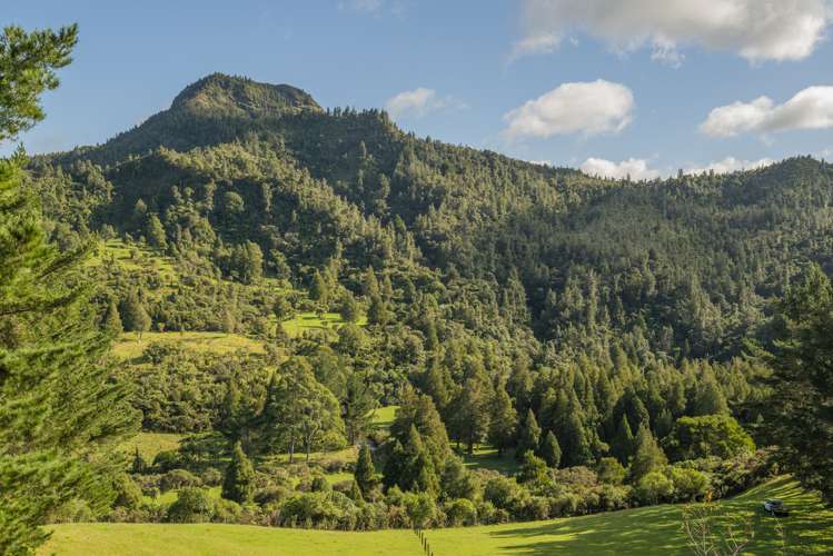 555 Mill Creek Road Kaimarama_32