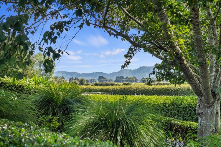 1713 Gordonton Road Taupiri_30