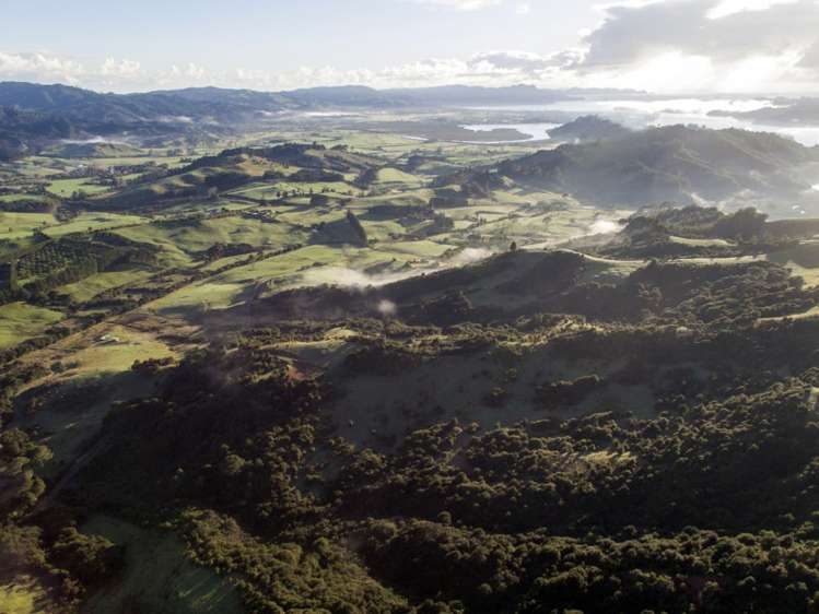 119 Fagan Lane Kaimarama_5