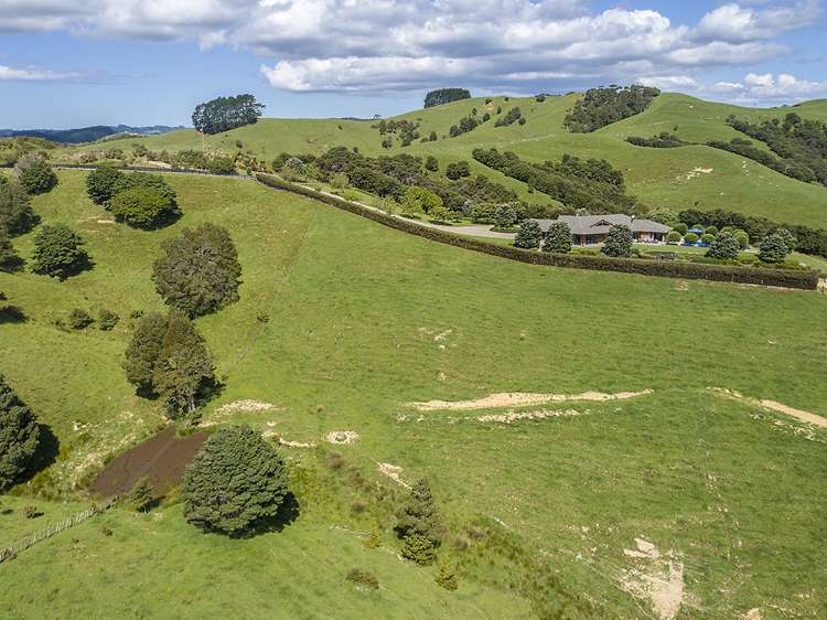 306 Shanks Road Helensville_18