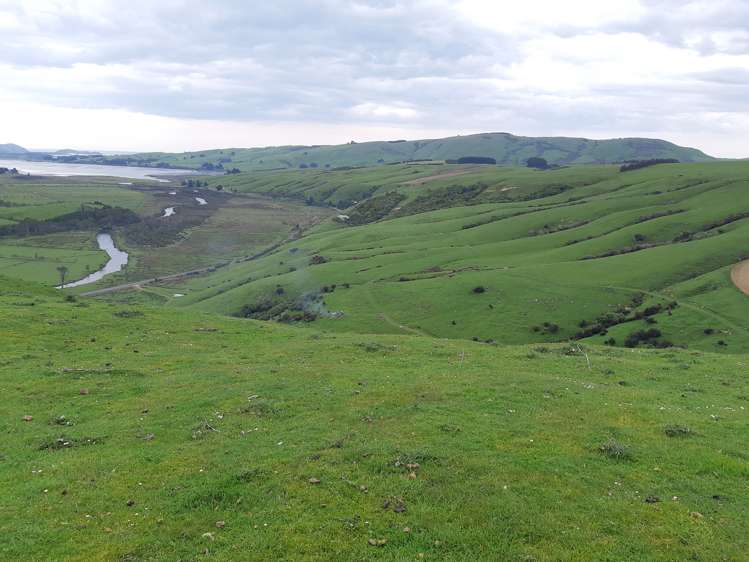 753 Papatowai Highway Owaka_14