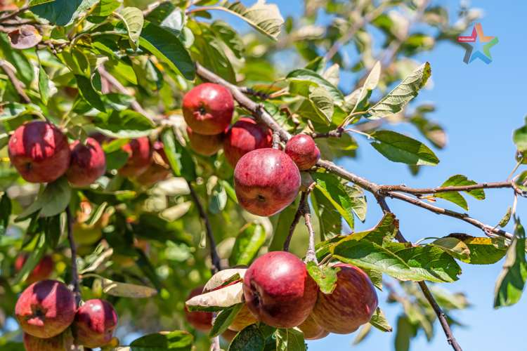 6 Foster Street Taita_13