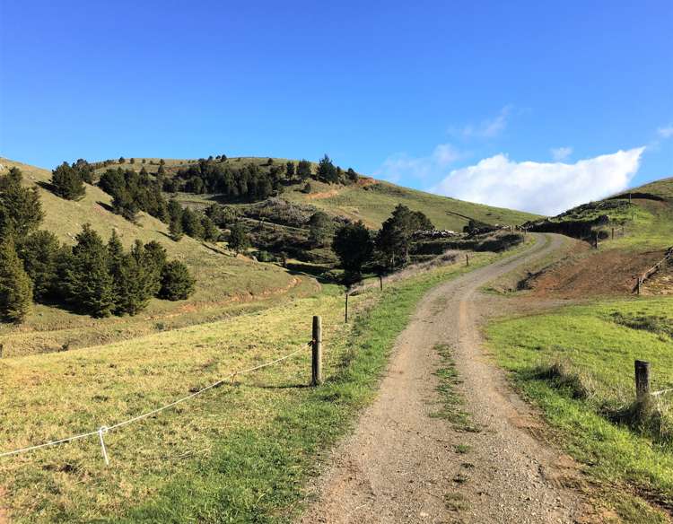 539 Martin Road Kaeo_6