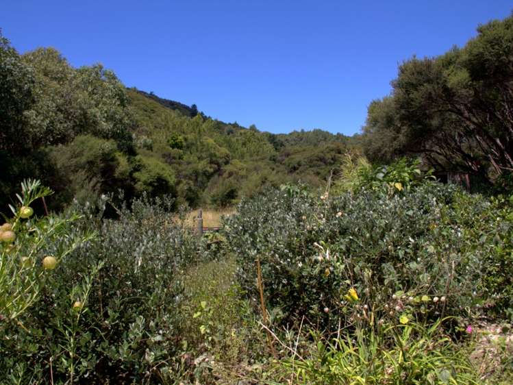 21 Greenside Road Great Barrier Island (Aotea Island)_21