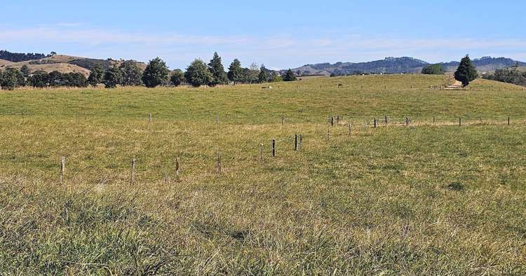 1209 Taniwha Road Waerenga_4