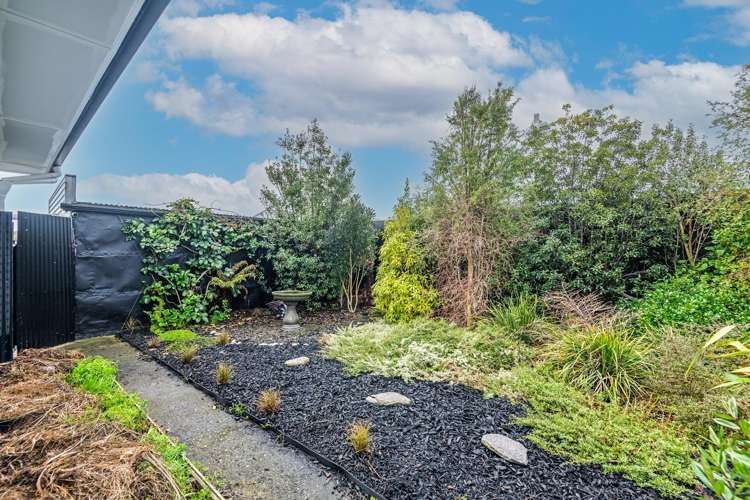 44 Holland Crescent Bulls_8