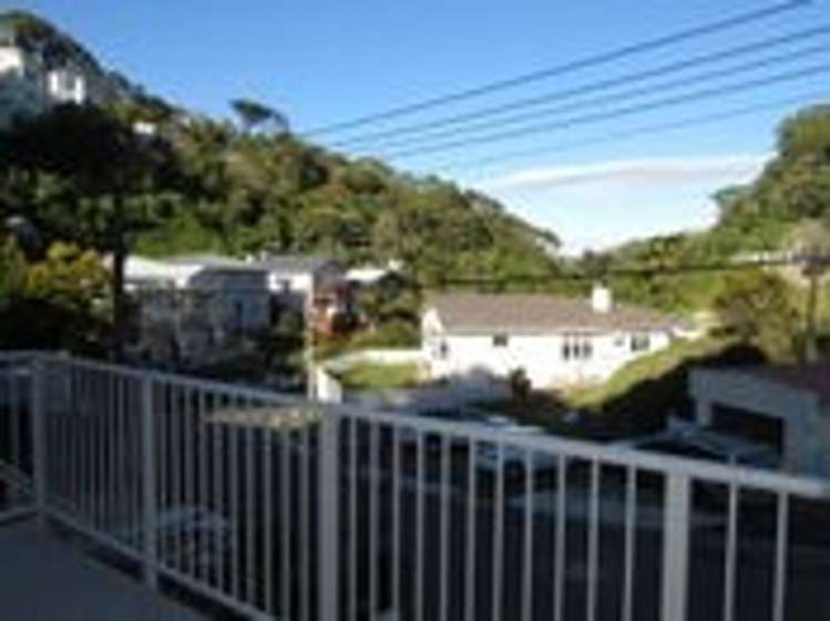 54 Norway Street Aro Valley_8