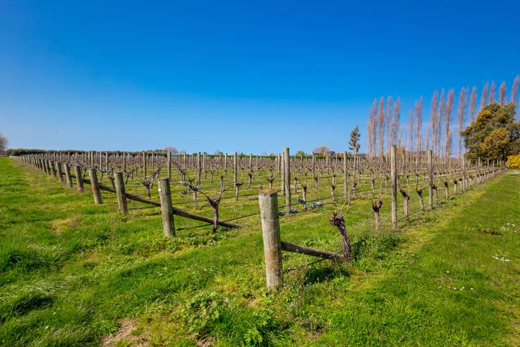 204 Selmes Road Rapaura_17