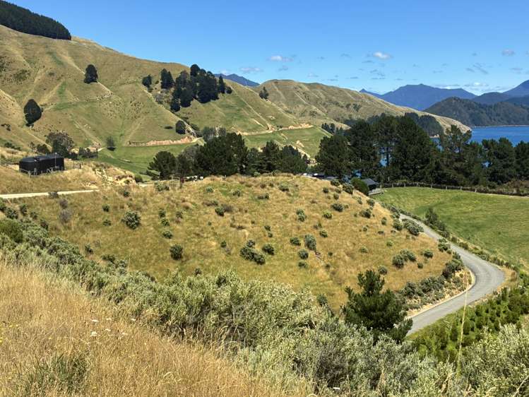 Cissy Bay Road, Cissy Bay French Pass_20