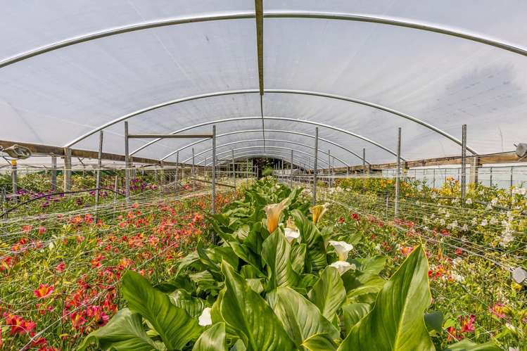 418 Appleby Highway Appleby_32