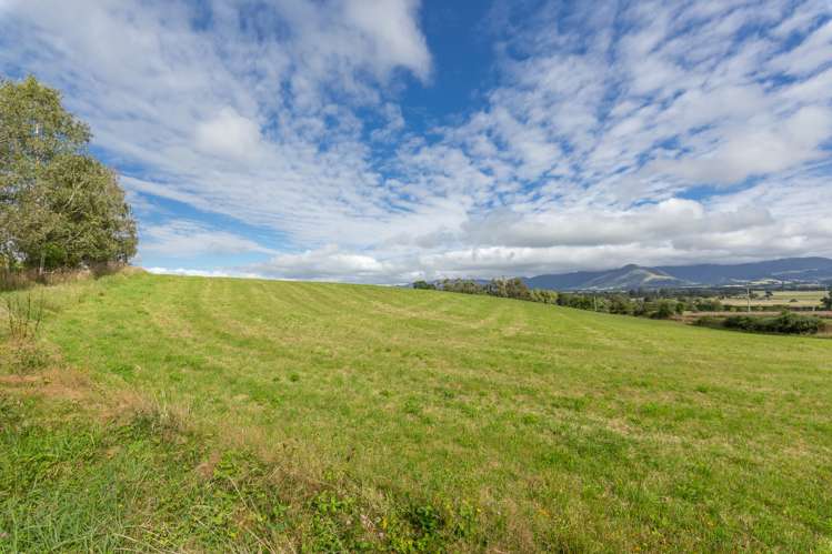 345 Summerhill Road Cust_25