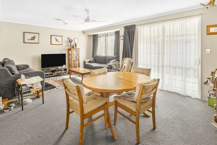 14a Lorne Street Morrinsville_9