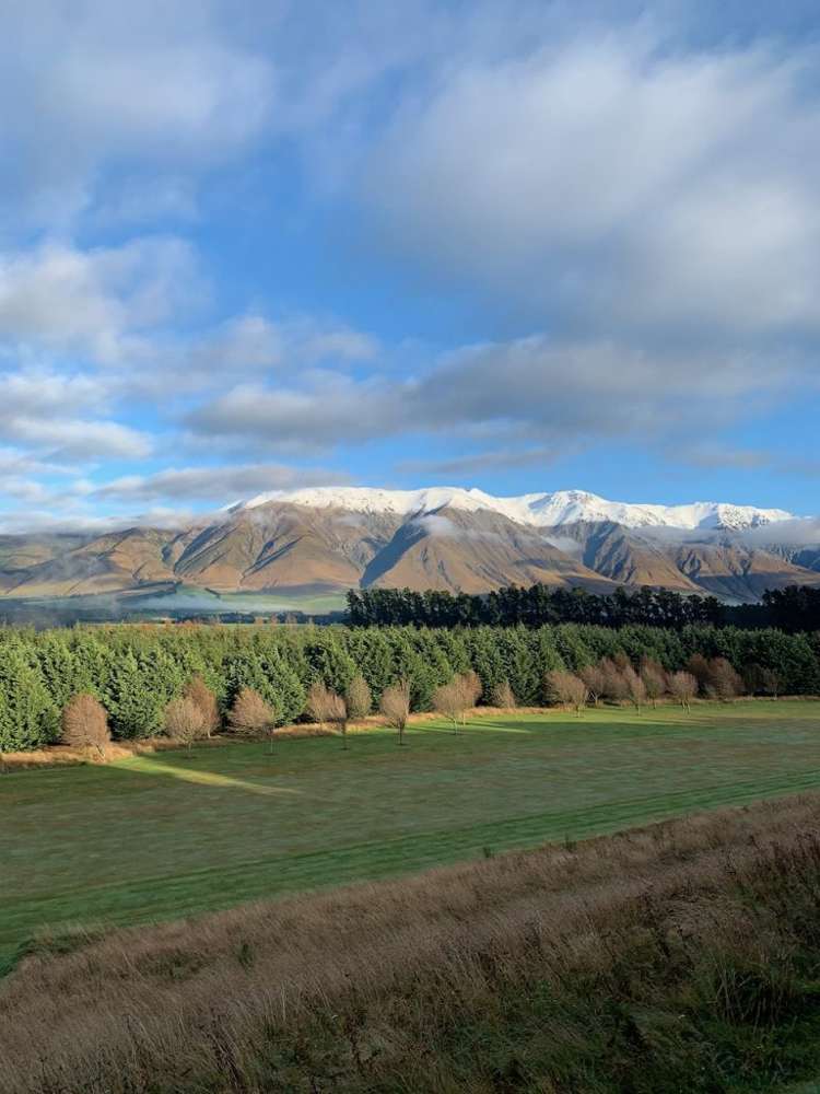 623 Coleridge Road Windwhistle_21