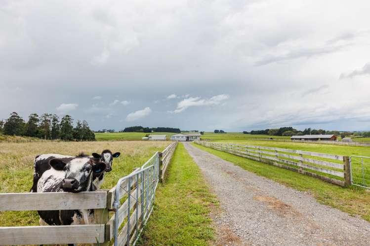 218 Taipo Road Rongotea_16