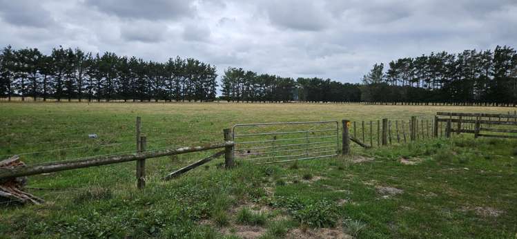 265 Paranui Road Foxton_9