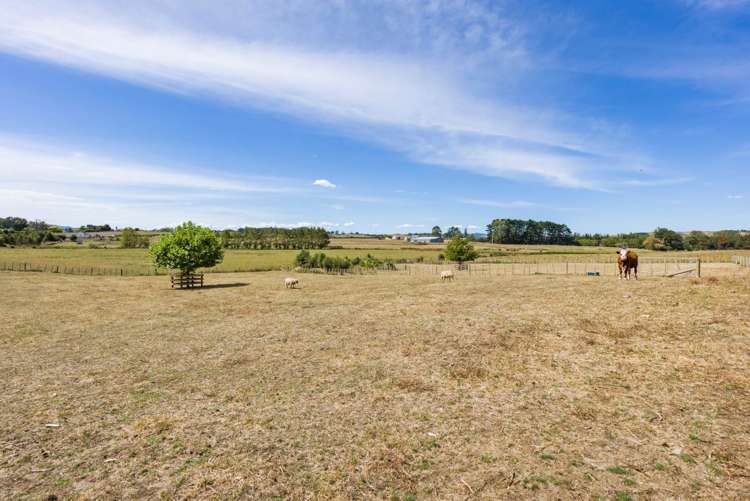 395 Bell Road Mangatawhiri_16