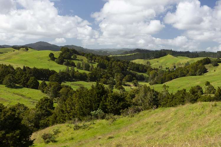 1238 Fern Flat Road Kaeo_19