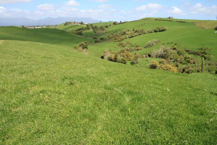 828 Hursthouse Road Inglewood_28