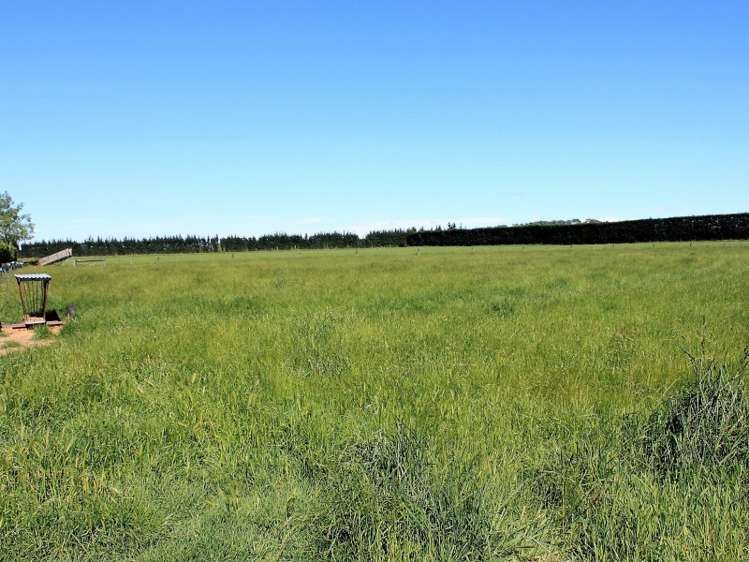 1199 Telegraph Road Darfield_16