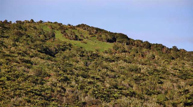 Devon Street Greymouth_1