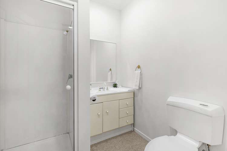 4a Macdonald Crescent Te Aro_14