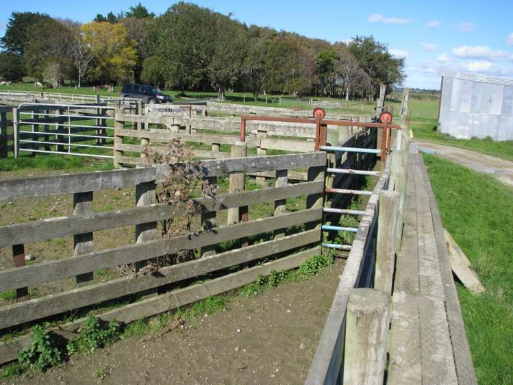 525 Woodlands Morton Mains Road Wyndham Surrounds_10