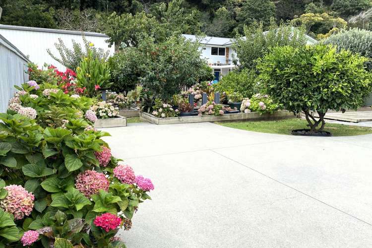 720 Tararu Road Thames_22