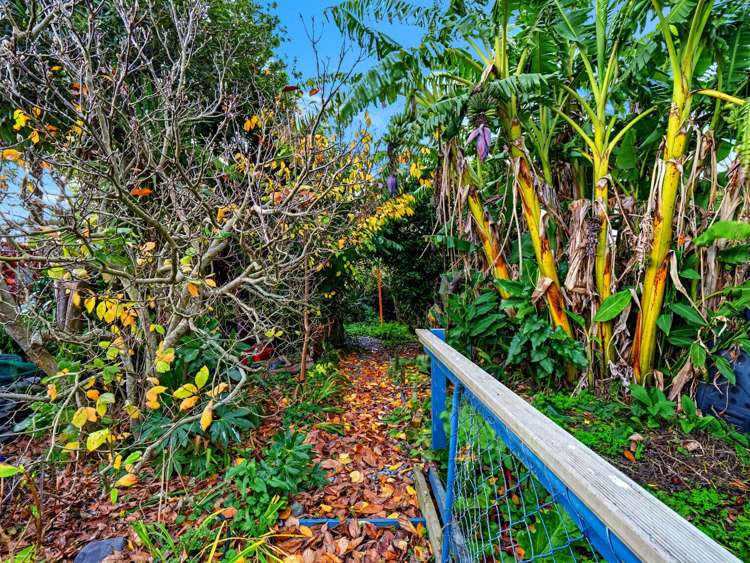 14 Camellia Avenue Aramoho_21