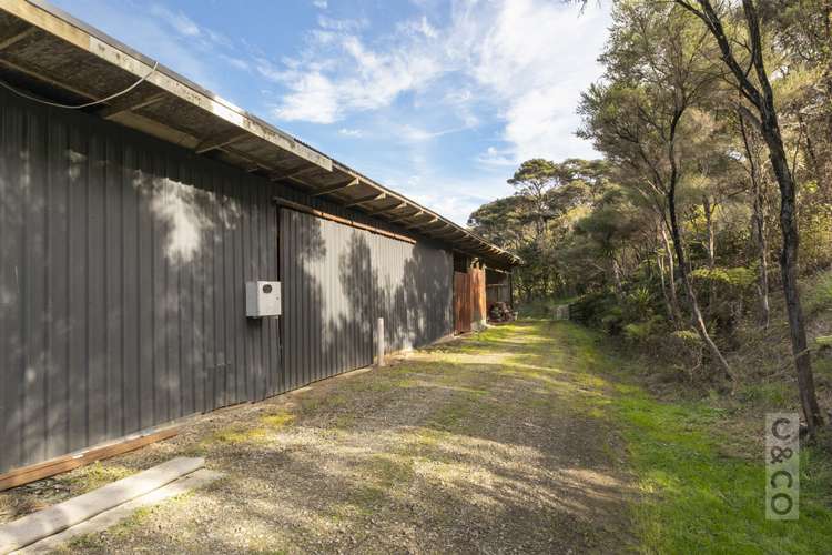 315 School Road Waimauku_18