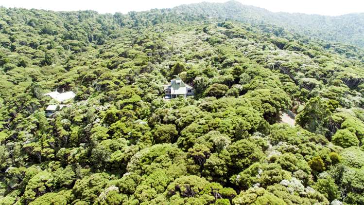 20 La Trobe Track Karekare_5