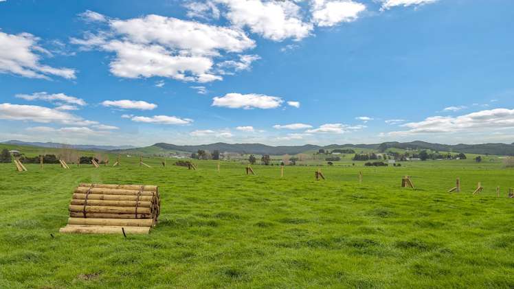 288 Dimmock Road Maramarua_13