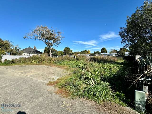 49b Bridge Street Opotiki and Surrounds_1