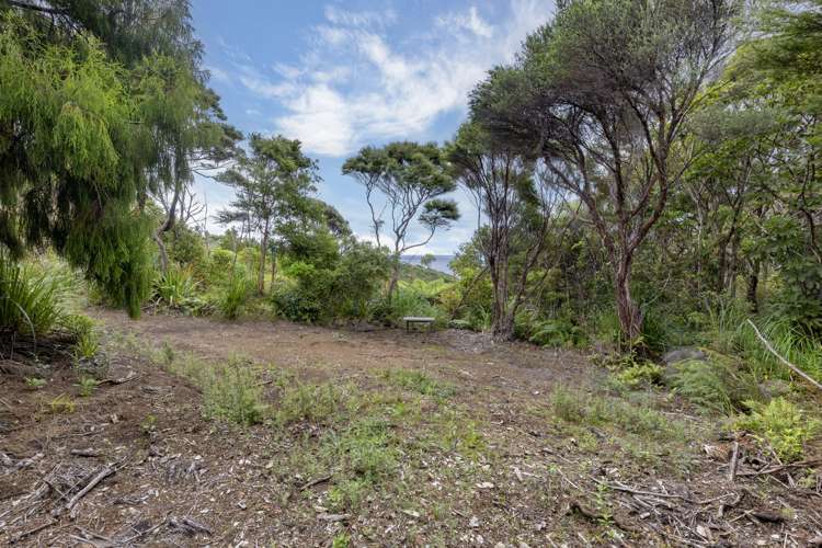 16 La Trobe Track Karekare_42