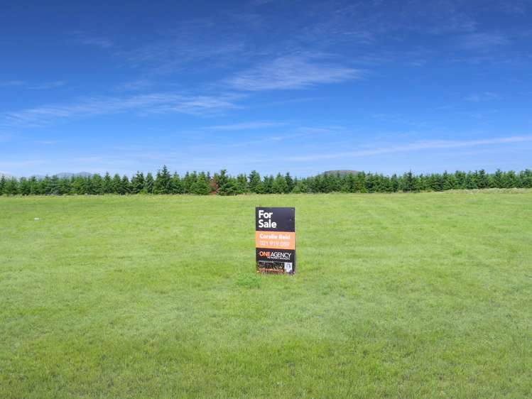 31 The Drive Twizel_1