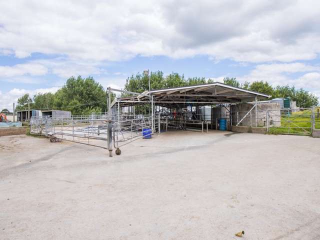 245 Opanake Road Dargaville Surrounds_4