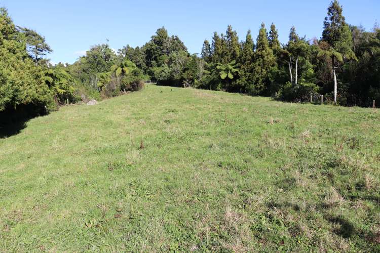 174 Bedford Road North Inglewood_22