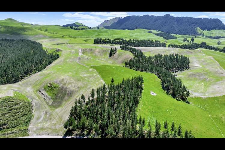 Korako Road Taupo_14