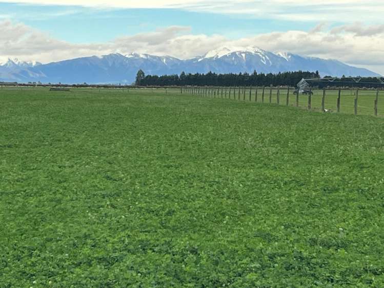 102 Coplands Road Ashburton_37