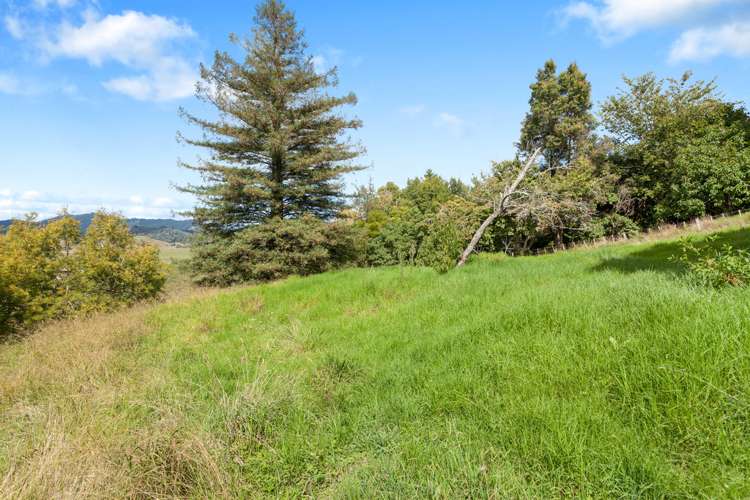 91c Looney Road Opotiki and Surrounds_4