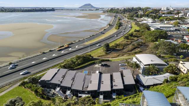 144 Third Ave Tauranga Central_2