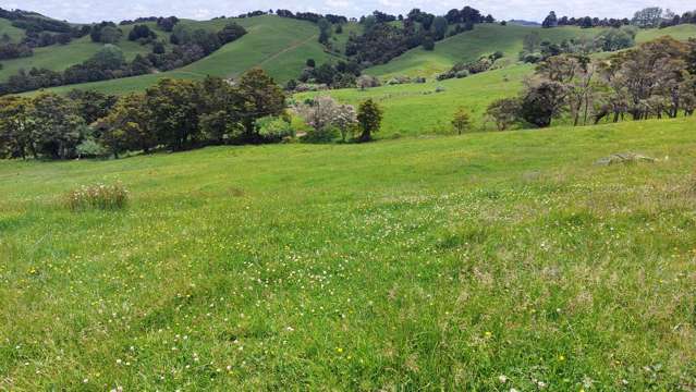 Lot/6 Franklin Road Paparoa_4