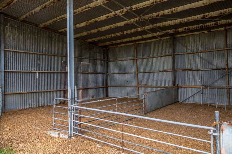 631 Opaki Kaiparoro Road Kopuaranga_8