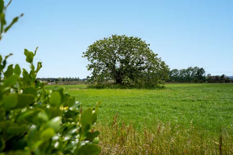 3126 Cambridge Road Rotoorangi_5