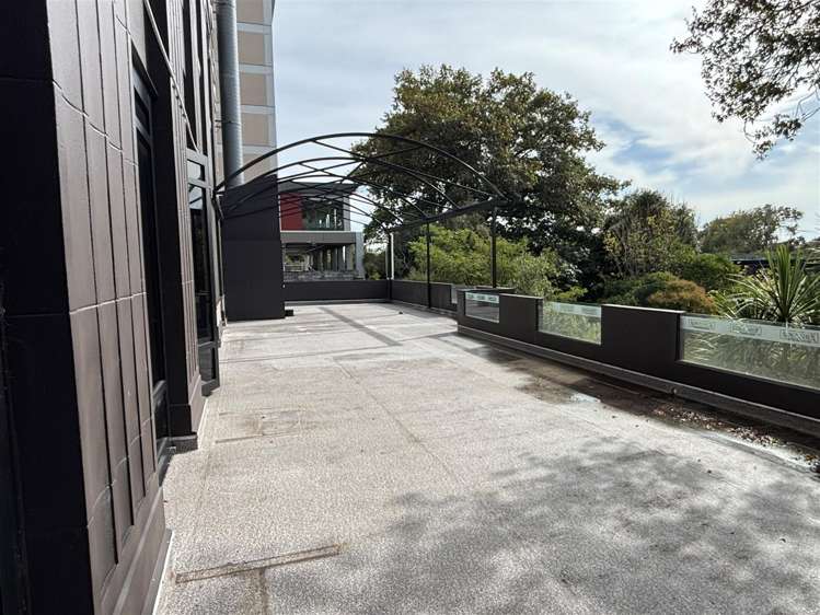 Lower Ground Floor, 20 Alma Street Hamilton Central_8