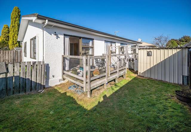 53a Green Street Tahunanui_2