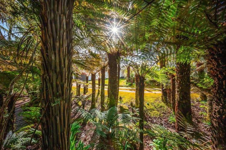 137 Otapouri Road Owhango_20