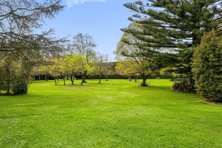 137 Kayelene Place Omokoroa_7