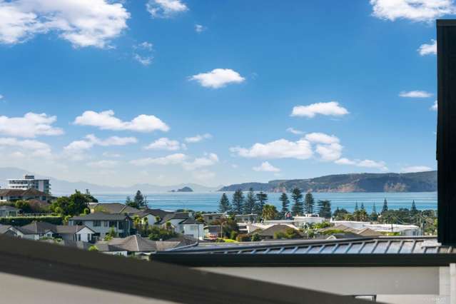 4 Tendril Court Millwater_1